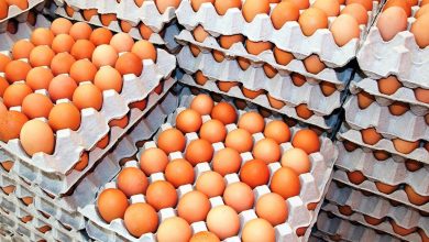 Photo of अण्डाको मूल्य बढ्यो