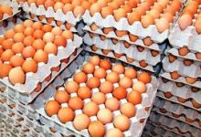 Photo of अण्डाको मूल्य बढ्यो