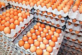 Photo of अण्डाको मूल्य बढ्यो