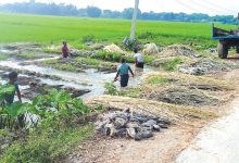 Photo of उपकरण प्रयोग गरेर जुट तयारी गर्न थालियो