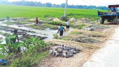 Photo of उपकरण प्रयोग गरेर जुट तयारी गर्न थालियो