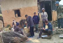 Photo of व्यावसायिक स्याउ खेती सुरु गर्दै वैकुण्ठेका किसान