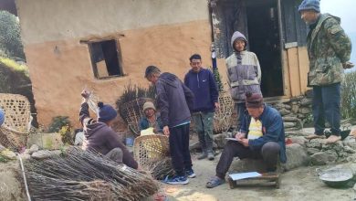 Photo of व्यावसायिक स्याउ खेती सुरु गर्दै वैकुण्ठेका किसान