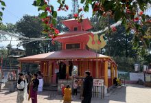 Photo of धार्मिक पर्यटनको केन्द्र बन्दै नवलपुरको दाउन्ने देवी मन्दिर
