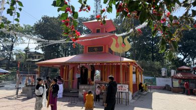 Photo of धार्मिक पर्यटनको केन्द्र बन्दै नवलपुरको दाउन्ने देवी मन्दिर