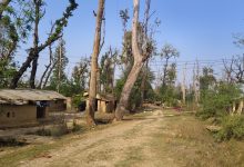 Photo of हरेक निर्वाचनमा लालपुर्जाको आश्वासन