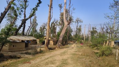 Photo of हरेक निर्वाचनमा लालपुर्जाको आश्वासन