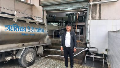 Photo of बुबाको पेसालाई पछ्याउँदै सफल डेरी उद्यागी बनेका योगेन्द्र