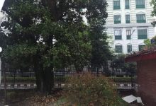 Photo of अझै रोकिएन बर्षा, काठमाडौँको जनजीवन प्रभावित, भोलिसम्म पानी पर्ने