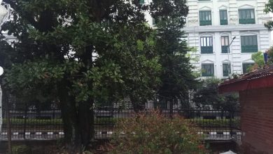 Photo of अझै रोकिएन बर्षा, काठमाडौँको जनजीवन प्रभावित, भोलिसम्म पानी पर्ने