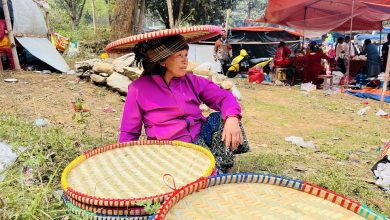 Photo of हराए मौलिक भाका, फेरियो चैतेदसैँ