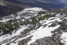 Photo of हिमपातले किसानलाई राहत