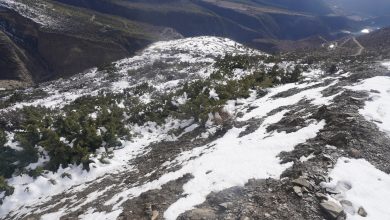 Photo of हिमपातले किसानलाई राहत