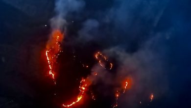 Photo of मानवीय लापरवाहीबाट डढेलोको उच्च जोखिम