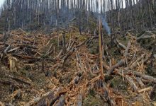 Photo of गतलाङ क्षेत्रमा ‘ड्रोन’बाट वनस्पतिका बीउ छरिदै