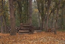 Photo of कञ्चनपुरमा डढेलोको जोखिम बढ्दो, पूर्वतयारी कमजोर