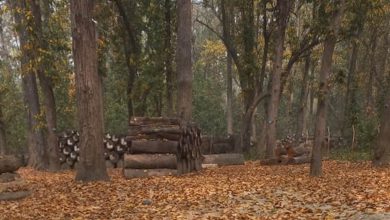 Photo of कञ्चनपुरमा डढेलोको जोखिम बढ्दो, पूर्वतयारी कमजोर