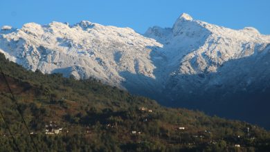 Photo of ताप्लेजुङको डाँडाकाँडा सेताम्मे