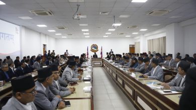 Photo of प्रधानमन्त्री शाहद्वारा पदभारलगत्तै मन्त्री र सचिवहरुलाई निर्देशन