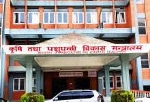 Photo of चैते धानको समर्थन मूल्य तोक्न अध्ययन सुरु