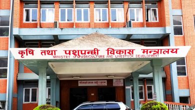 Photo of चैते धानको समर्थन मूल्य तोक्न अध्ययन सुरु