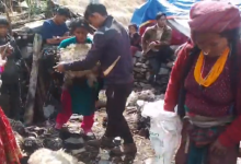 Photo of चितुवा गाेठमा पसेर मार्याे ४५ भेडा