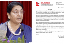 Photo of ओली-लेखक पक्राउ सरकारको अपरिपक्क निर्णय- पूर्वराष्ट्रपति भण्डारी
