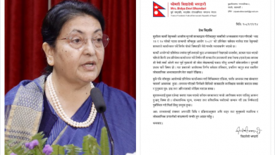 Photo of ओली-लेखक पक्राउ सरकारको अपरिपक्क निर्णय- पूर्वराष्ट्रपति भण्डारी