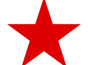 Photo of कालीकोटबाट नेकपाका शाही विजयी