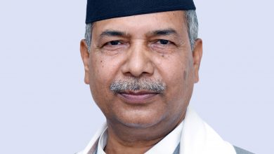 Photo of निर्वाचनले सङ्घीय लोकतान्त्रिक गणतन्त्रलाई थप सबल र सुदृढ बनाउने उपराष्ट्रपति यादवको विश्वास