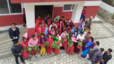 Photo of  गर्भवतीलाई कुखुराको भालेसहित पौष्टिक आहार वितरण