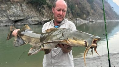 Photo of अन्तर्राष्ट्रिय महाशिर एङ्गलिङ प्रतियोगिता