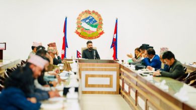 Photo of प्रधानमन्त्री शाहद्वारा सांसदहरूसँग छलफल