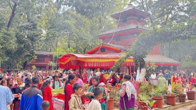Photo of चैते दसैँमा कालिका मन्दिरमा भक्तजनको भीड