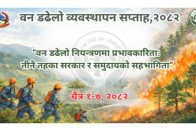 Photo of डढेलो व्यवस्थापन सप्ताह आजदेखि सुरु