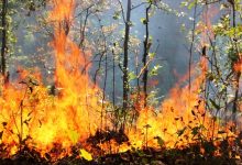 Photo of जुम्लामा ३३०. २८ हेक्टरमा डढेलोबाट वन क्षति