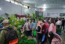 Photo of ‘फ्लोरा एक्स्पो’ : एक करोड २२ लाख बढीको कारोबार