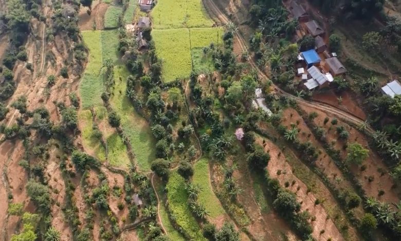 व्यावसायिक फलफूलखेतीतर्फ भुल्केका किसानको आकर्षण