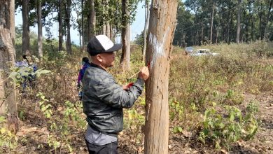 Photo of तनहुँ जलविद्युत् आयोजनाः प्रसारण लाइन निर्माणका लागि रुख छपान सुरु