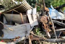 Photo of हुरीबतासबाट रुख ढलेर कटारीमा दुई जनाको मृत्यु, छ घाइते