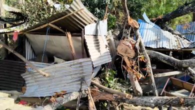 Photo of हुरीबतासबाट रुख ढलेर कटारीमा दुई जनाको मृत्यु, छ घाइते