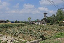 Photo of रौतहटमा असिना र हावाहुरीले अन्नबालीमा ठुलो क्षति  