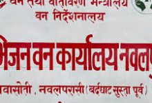 Photo of वन कार्यालयले एक लाख जनालाई दियो रोजगारी