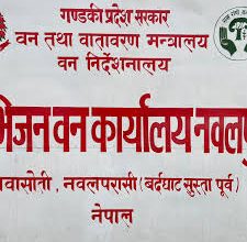 Photo of वन कार्यालयले एक लाख जनालाई दियो रोजगारी