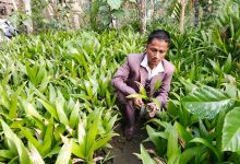 Photo of जीवनको तस्बिर बदलेका उद्यमी भीमबहादुर