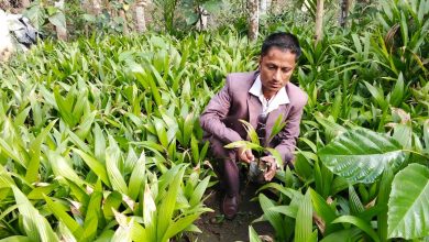 Photo of जीवनको तस्बिर बदलेका उद्यमी भीमबहादुर