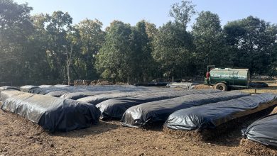 Photo of नवलपुरमा साझेदारी वनद्वारा जैविक मल उत्पादन सुरु