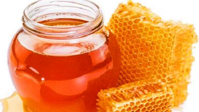 Photo of कास्कीको रुपा गाउँपालिकामा एक लाख लिटर मह उत्पादन