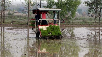 Photo of मेसिनबाट धान रोपाइँमा किसानको आकर्षण