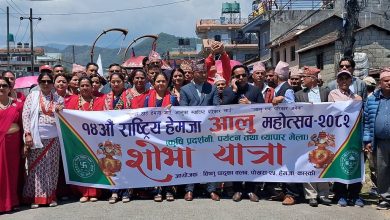 Photo of पोखरामा आलु महोत्सव सुरु